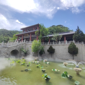 陵园环境